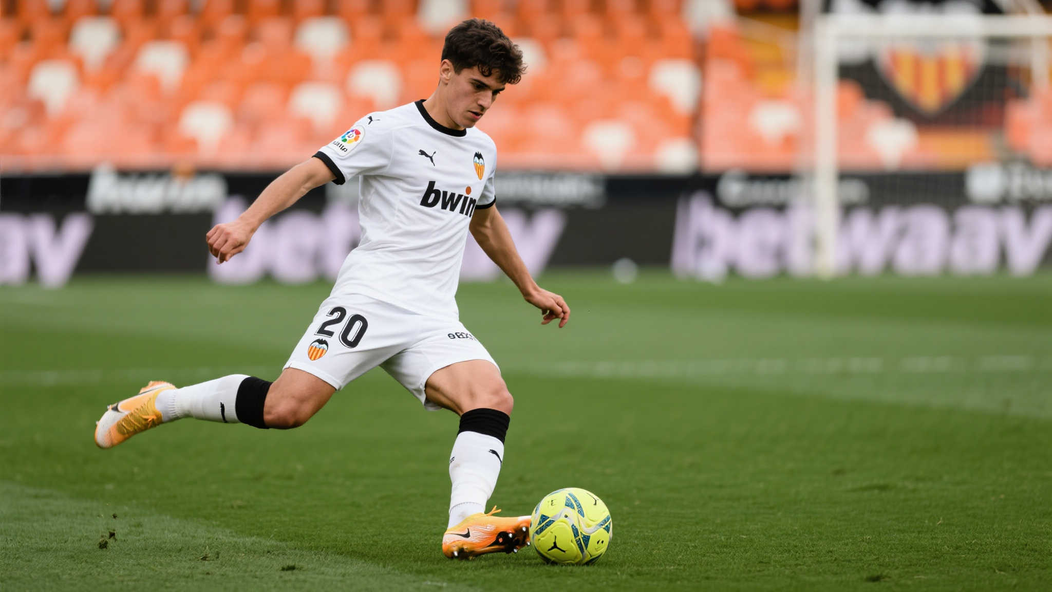 无疑会增强 无疑会增强